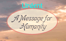 The New World Library